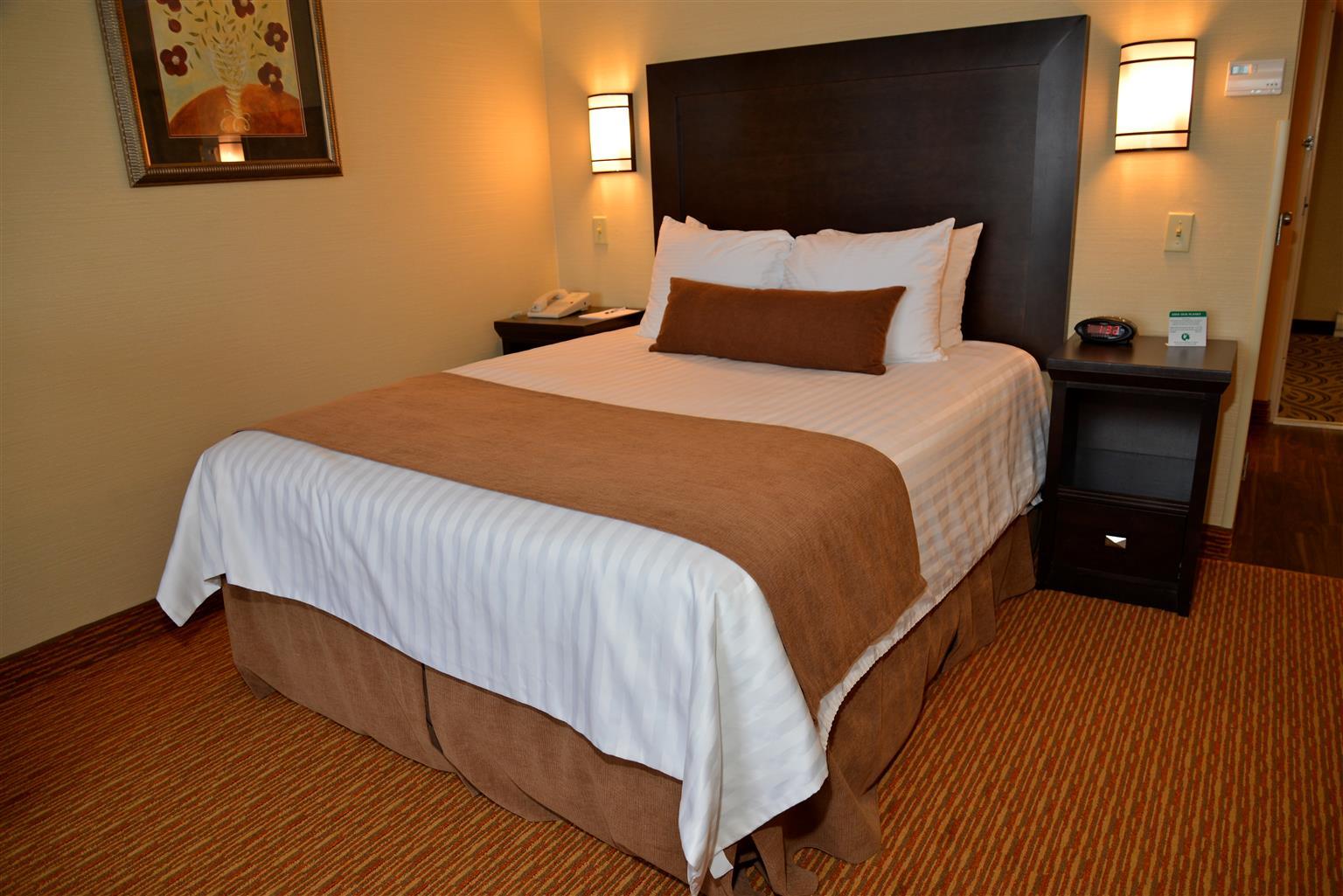 Best Western Plus Dryden Hotel And Conference Centre Dış mekan fotoğraf