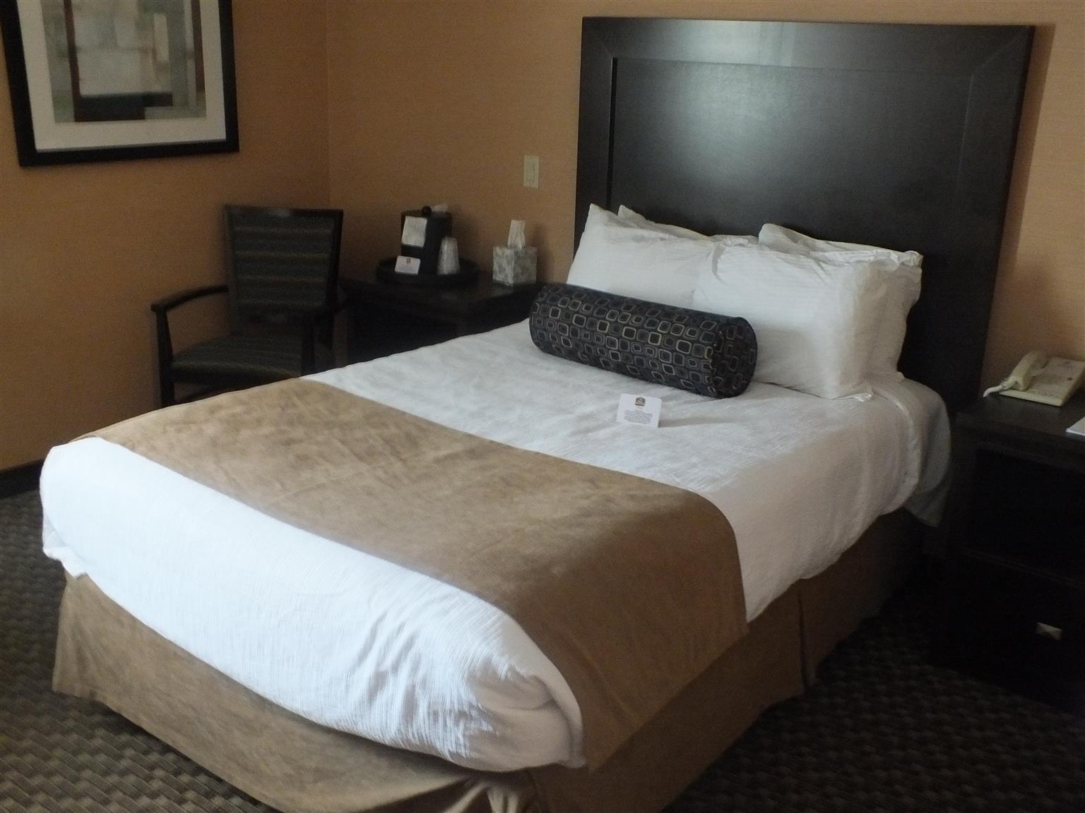 Best Western Plus Dryden Hotel And Conference Centre Dış mekan fotoğraf